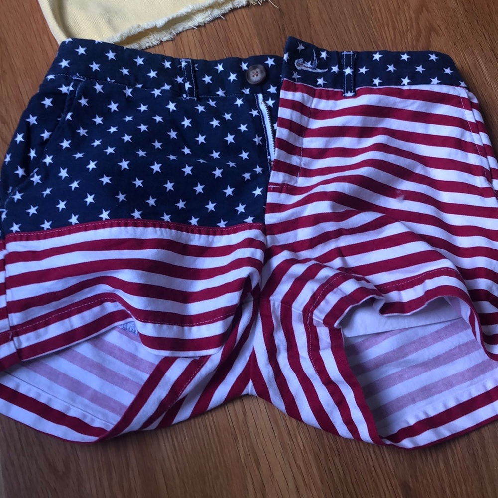 Chubbies american flag shorts